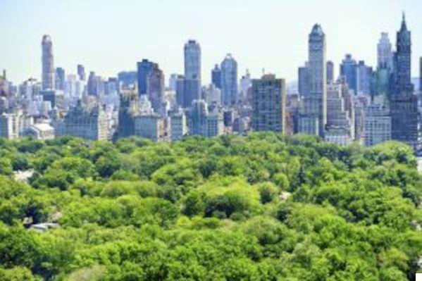 Central Park: El Corazón Verde de la Gran Manzana