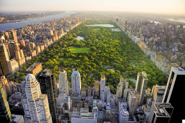 Central Park: The Green Heart of NYC