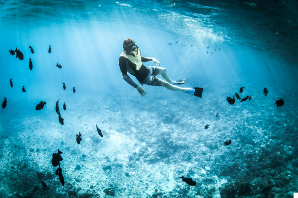 The Ultimate Guide to Snorkeling in Cabo: A Must-Do for New Yorkers Seeking Adventure